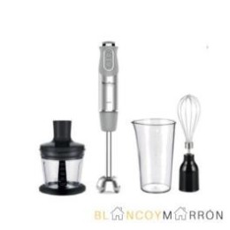 MIXEUR MOULINEX DD655D10