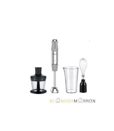 MIXEUR MOULINEX DD655D10