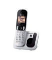 PANASONIC TELEFONE KXTGC210G CINZENTO