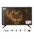 TV 24 LED NEVIR NVR-7713-24RD2N  12VOLT