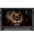 TV 16 LED NEVIR NVR-7717-16RD2-N