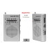 RADIO PORTATIL SANYO KS125P PLATA