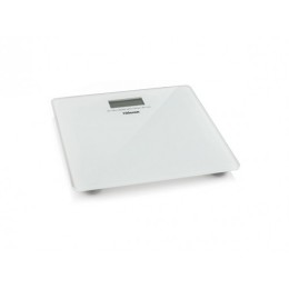 TRISTAR ÉCHELLE WG2419