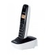 PANASONIC TELEFONE KXTG1611B
