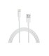 APPLE CABLE DATOS MD819ZMA