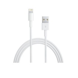 APPLE CÂBLE DE DONNÉES MD819ZMA