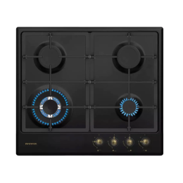 INFINITON PLAQUE DE CUISSON AU GAZ GAS41RO 092188