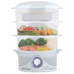 ORBEGOZO VAPOR CO4015